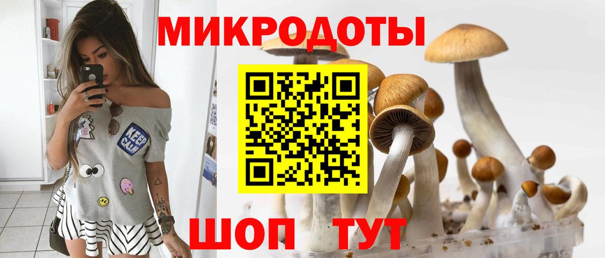 Волжский  Галлюциногенные грибы Cubensis  Вход с VPN 